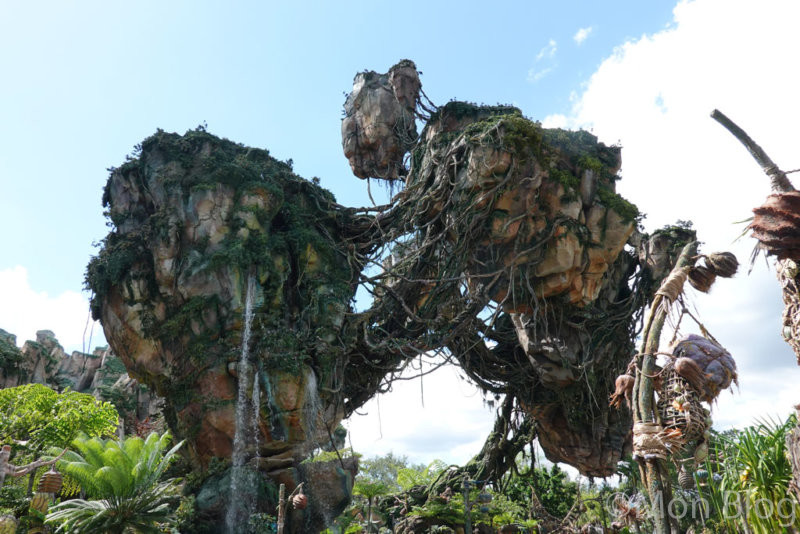 animal-kingdom-Pandora