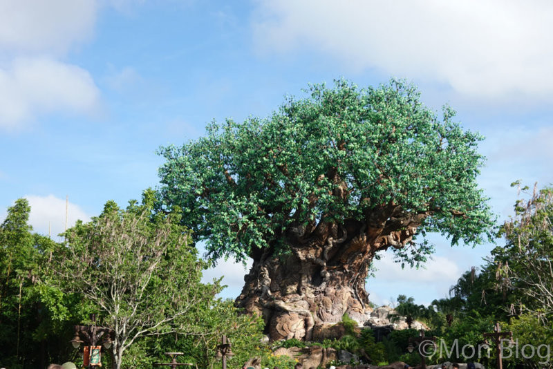 Disney's-Animal-Kingdom