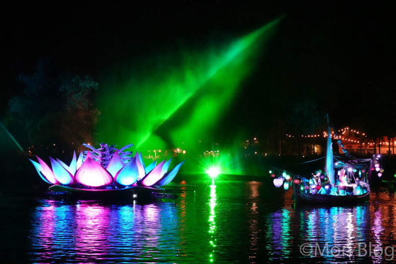 animal-kingdom-day5