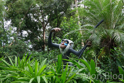 Rafiki's-Planet-Watch