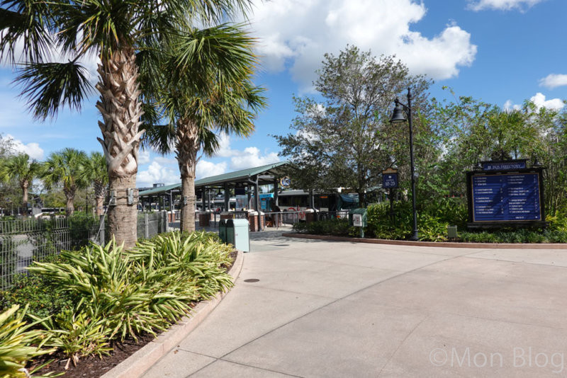 wdw-how-to-ride-a-bus
