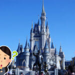 【WDW】新婚旅行にかかった費用、ズバリ公開しちゃいます